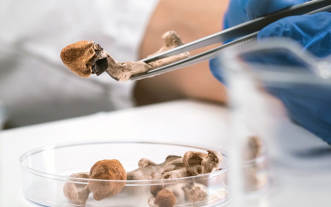 Can Psychedelics Treat Mental Health Disorders?